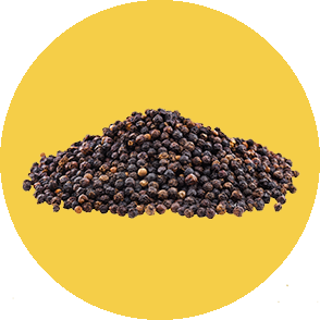 Black pepper from Madagascar – La Compagnie des Poivres